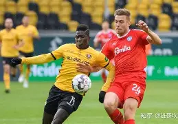 斯图加特围绕德国杯调整名单中国队球迷欢呼，窗口期浙江队调整名单以备荷甲看傻球迷